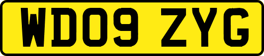 WD09ZYG