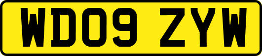WD09ZYW