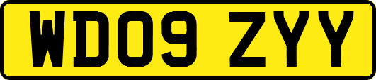 WD09ZYY