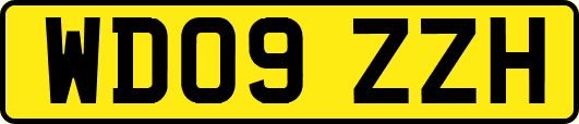 WD09ZZH