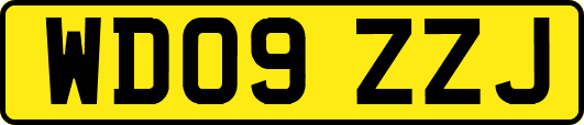 WD09ZZJ
