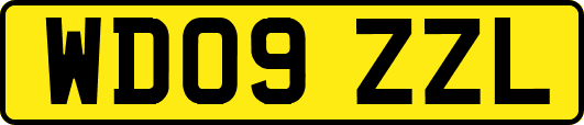 WD09ZZL