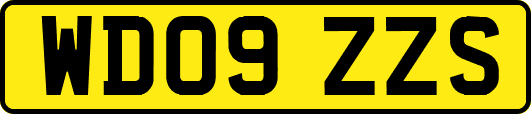 WD09ZZS