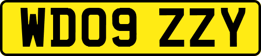 WD09ZZY