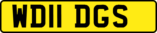 WD11DGS