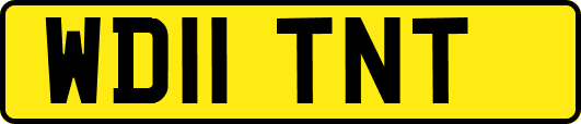 WD11TNT