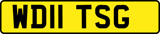 WD11TSG