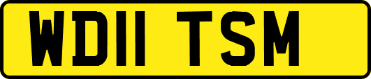 WD11TSM