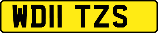 WD11TZS