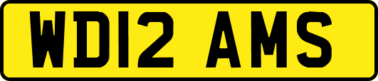 WD12AMS