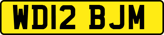 WD12BJM