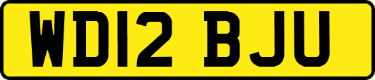 WD12BJU