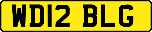 WD12BLG