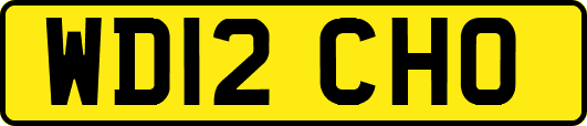 WD12CHO