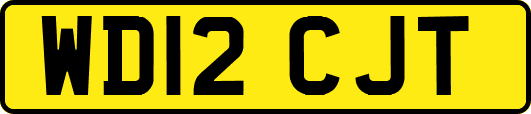 WD12CJT