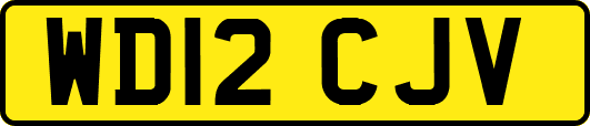 WD12CJV