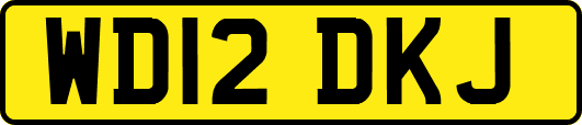 WD12DKJ