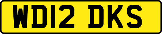 WD12DKS