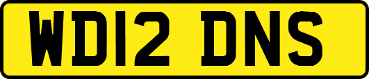 WD12DNS