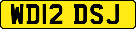 WD12DSJ