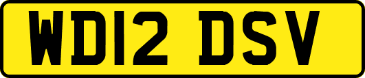 WD12DSV