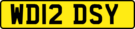 WD12DSY