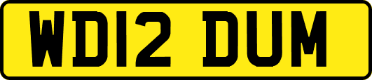 WD12DUM