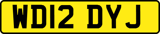 WD12DYJ
