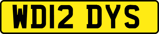 WD12DYS