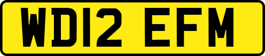 WD12EFM