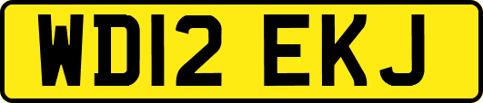 WD12EKJ