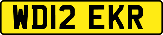 WD12EKR