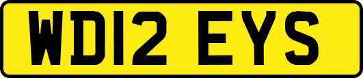 WD12EYS
