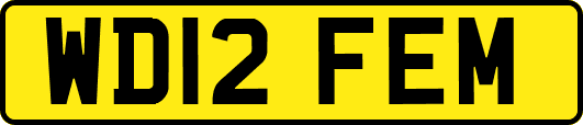 WD12FEM
