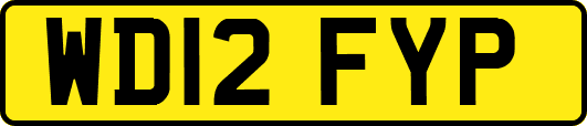 WD12FYP