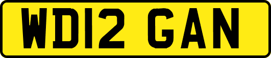 WD12GAN