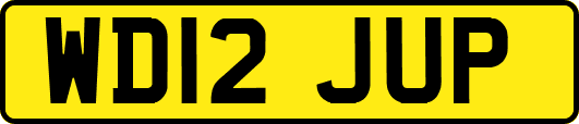 WD12JUP