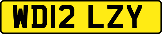 WD12LZY