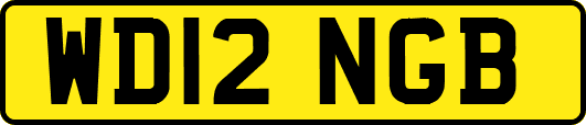 WD12NGB