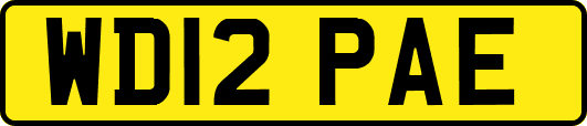 WD12PAE