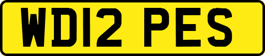 WD12PES