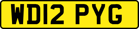 WD12PYG