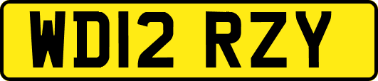 WD12RZY