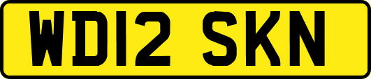WD12SKN