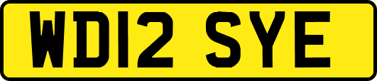 WD12SYE