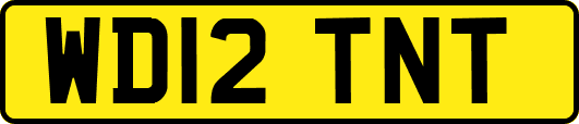 WD12TNT