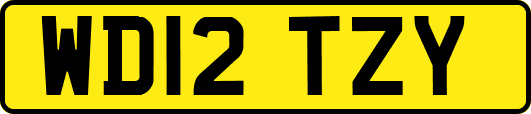 WD12TZY
