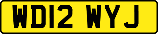 WD12WYJ