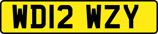 WD12WZY
