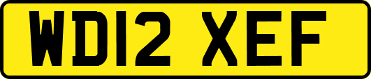 WD12XEF